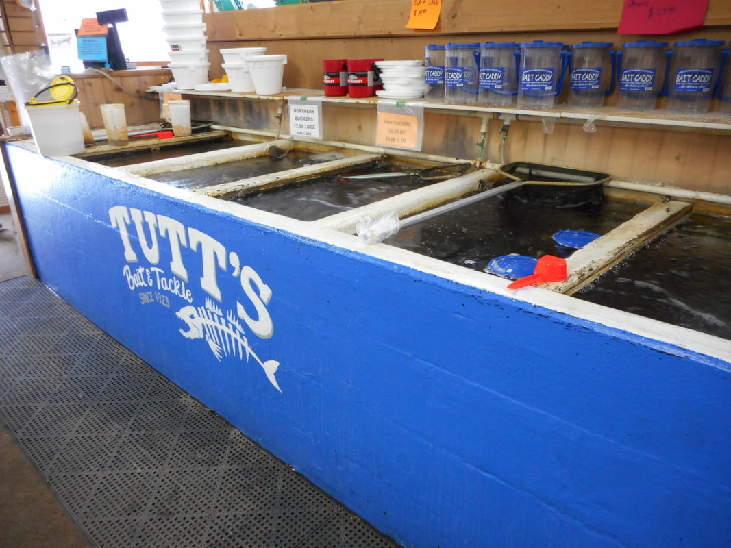 Tutt's Bait & Tackle - Tutt's Bait and Tackle